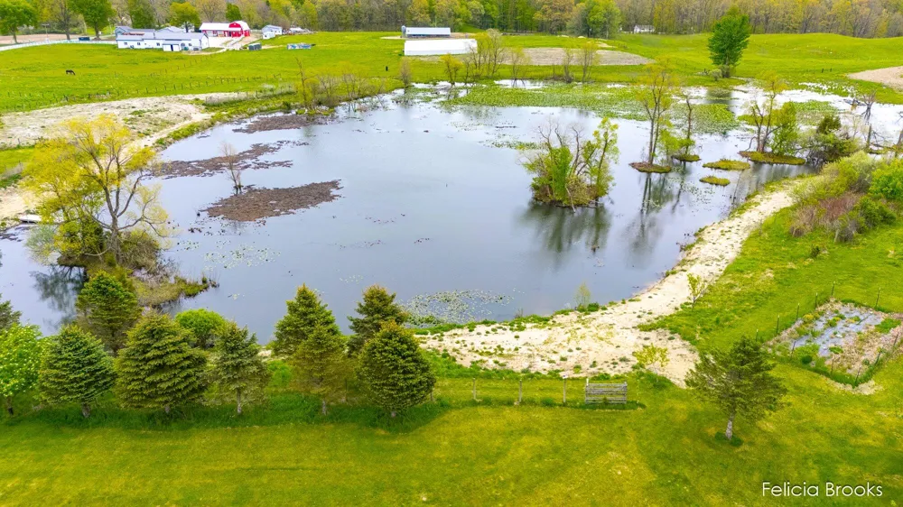 275 W Brogan Road Hastings, MI 49058