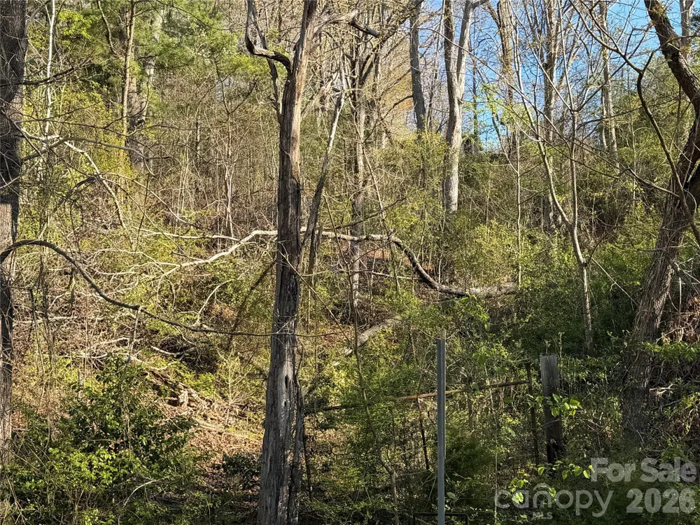219 Bee Ridge Road Asheville, NC 28803