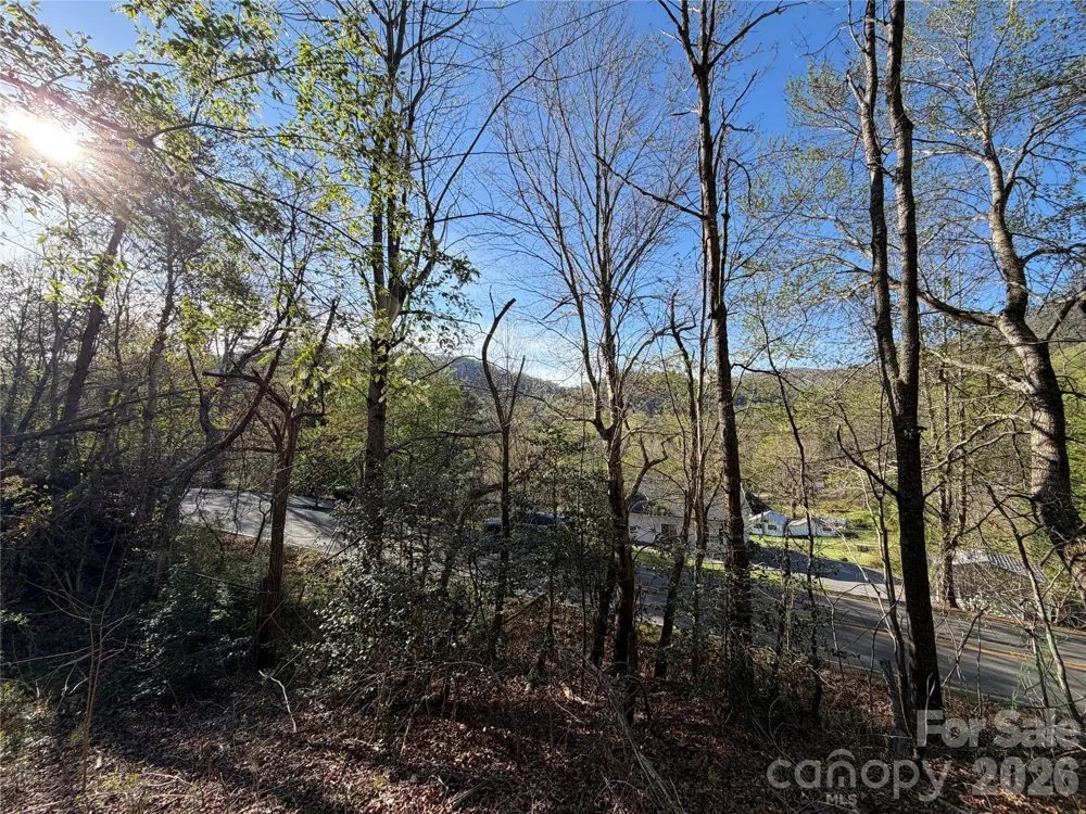 219 Bee Ridge Road Asheville, NC 28803