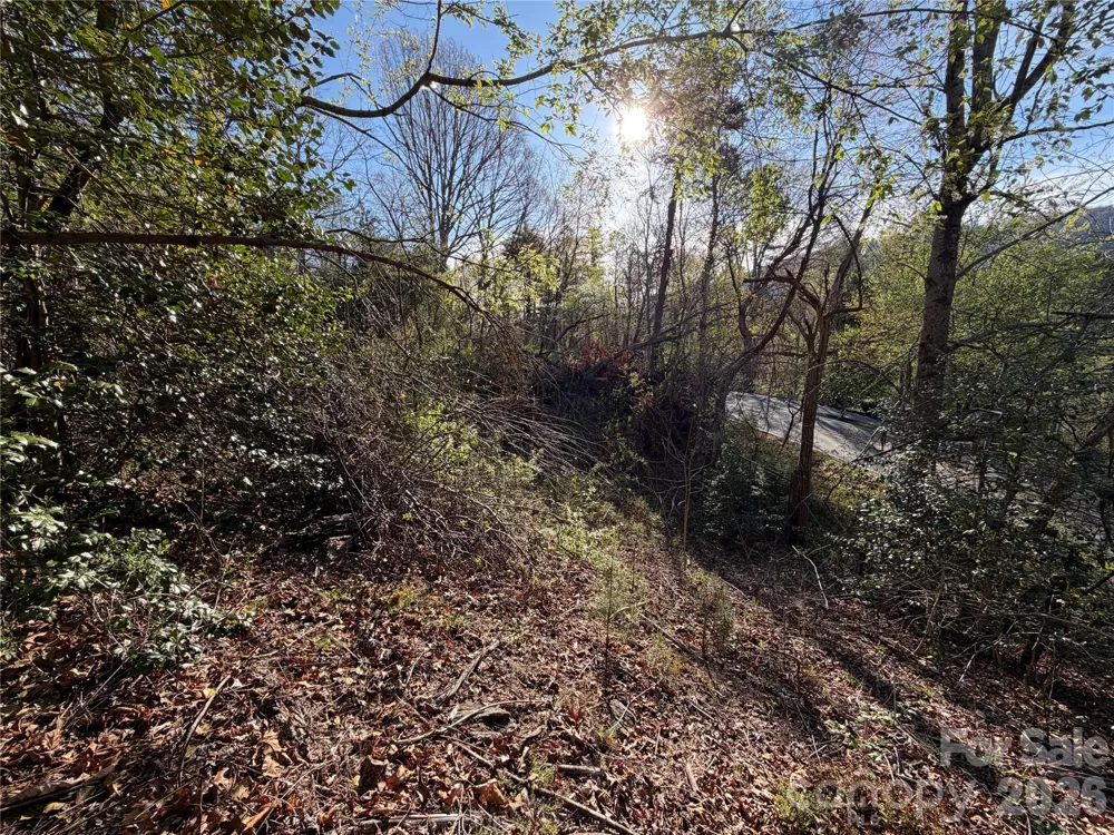 219 Bee Ridge Road Asheville, NC 28803