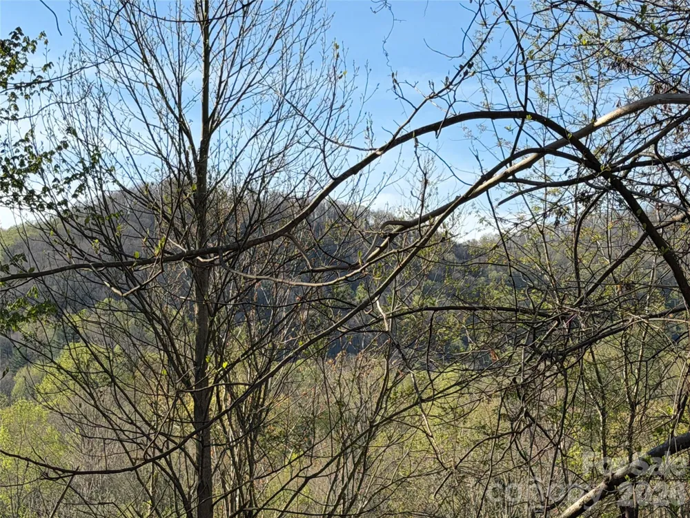 219 Bee Ridge Road Asheville, NC 28803