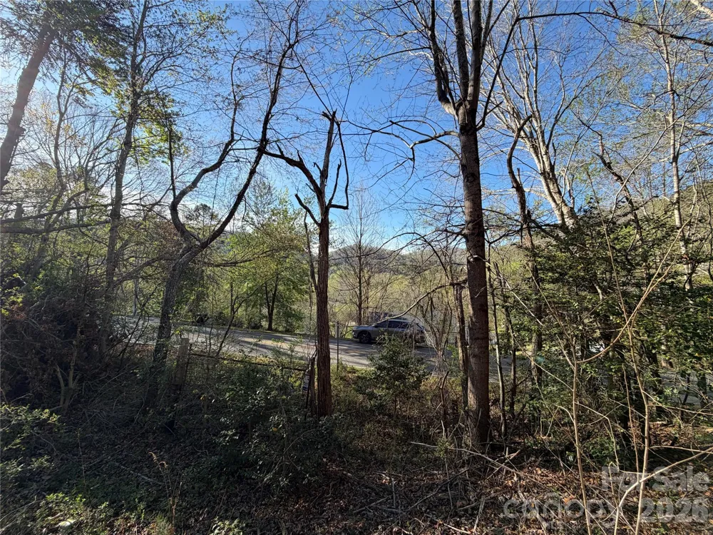 219 Bee Ridge Road Asheville, NC 28803