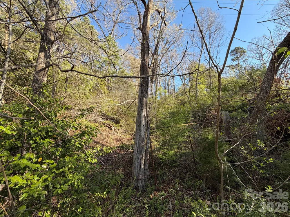 219 Bee Ridge Road Asheville, NC 28803