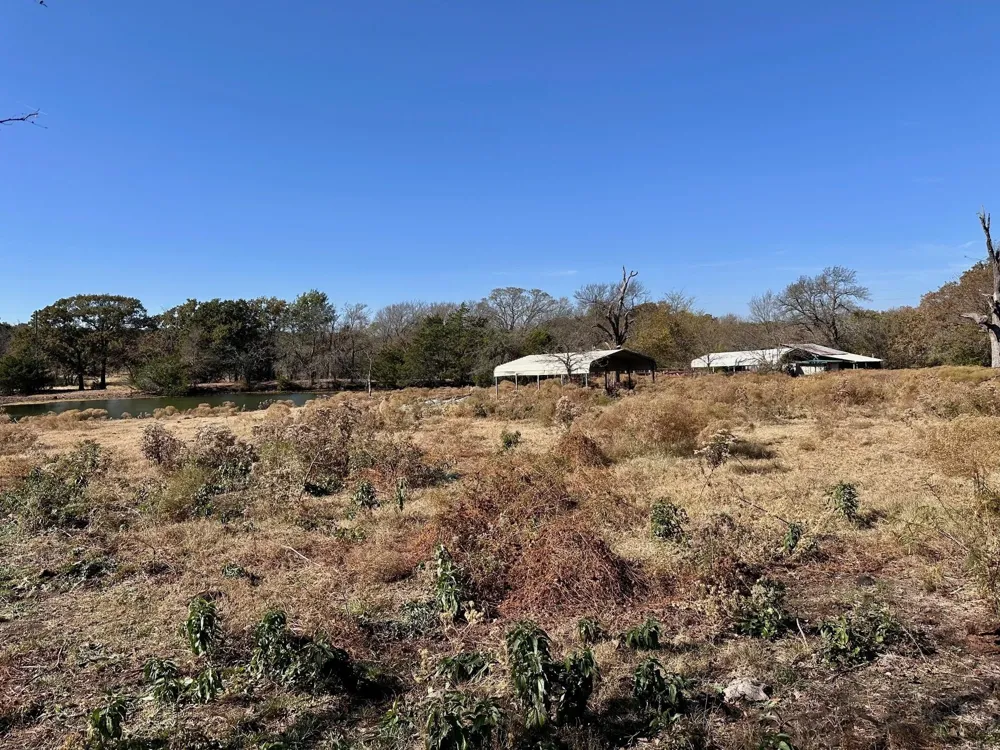PINK HILL/State 56 E Highway Bells, TX 75414