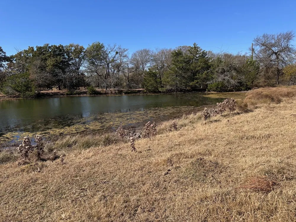 PINK HILL/State 56 E Highway Bells, TX 75414