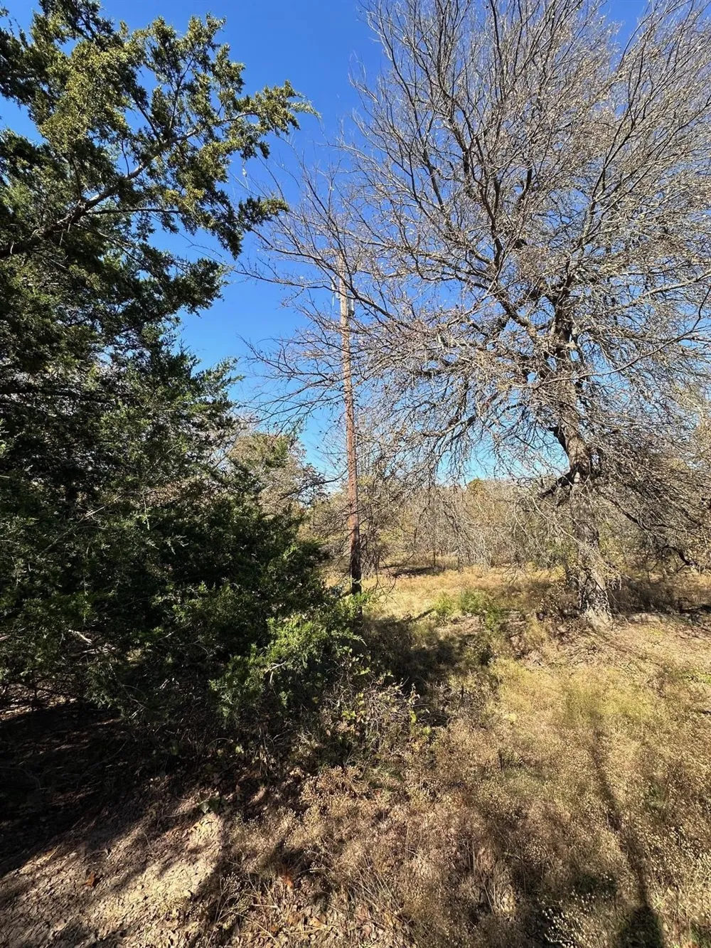 PINK HILL/State 56 E Highway Bells, TX 75414