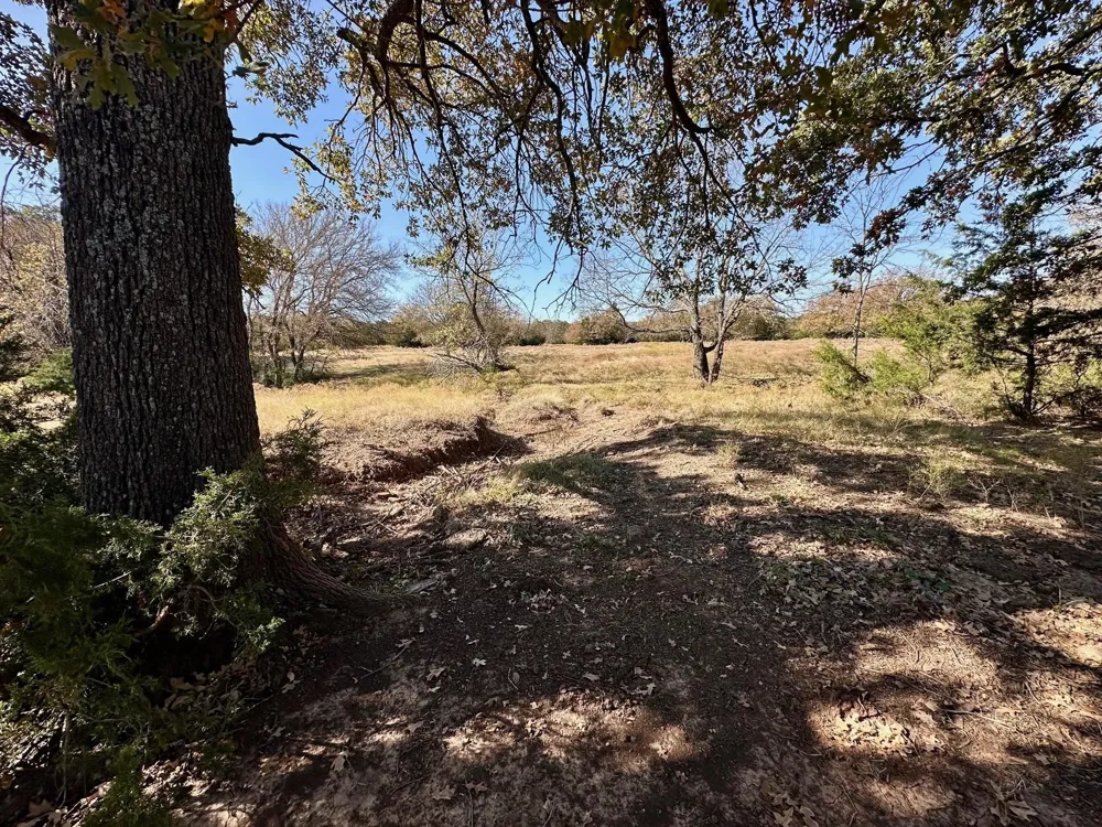 PINK HILL/State 56 E Highway Bells, TX 75414