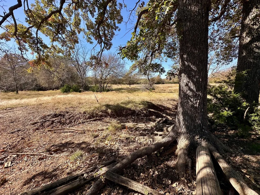 PINK HILL/State 56 E Highway Bells, TX 75414