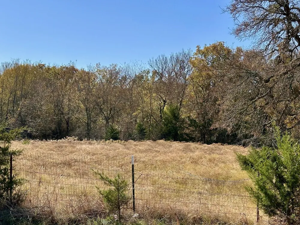 PINK HILL/State 56 E Highway Bells, TX 75414