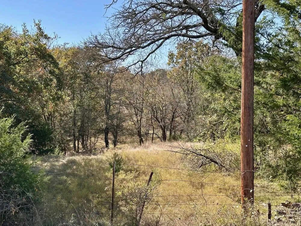 PINK HILL/State 56 E Highway Bells, TX 75414