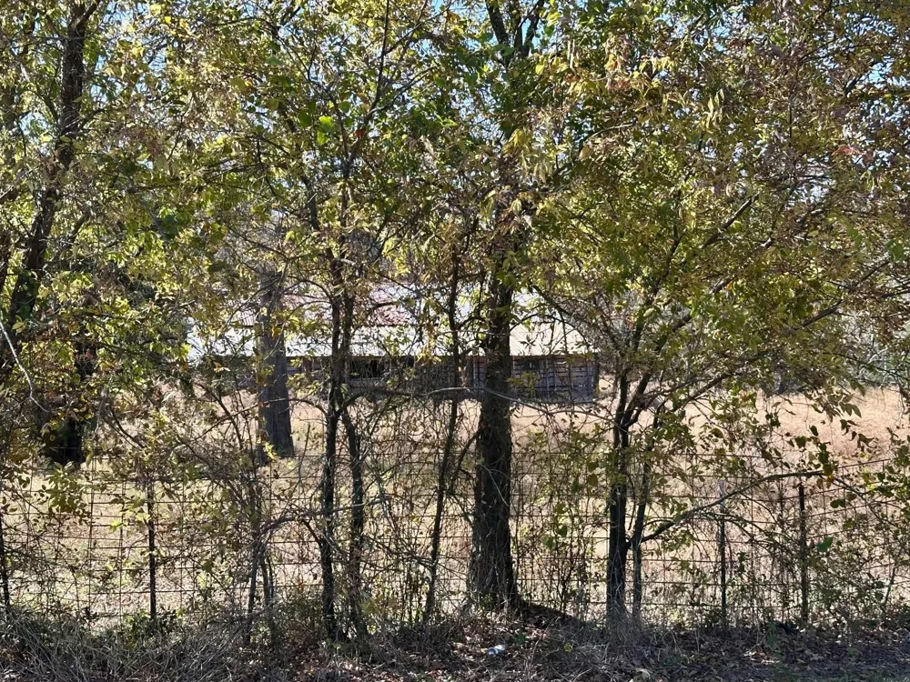 PINK HILL/State 56 E Highway Bells, TX 75414