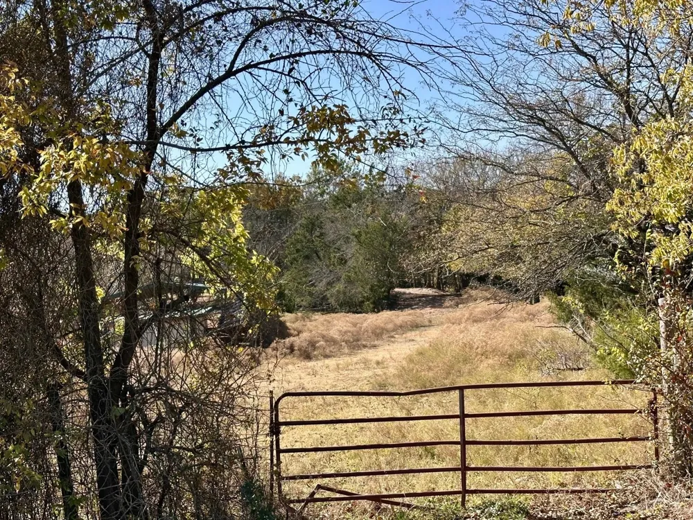 PINK HILL/State 56 E Highway Bells, TX 75414