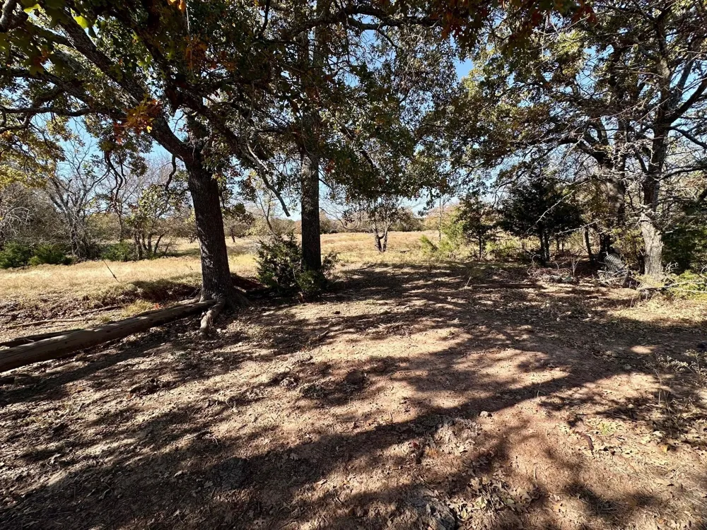 PINK HILL/State 56 E Highway Bells, TX 75414