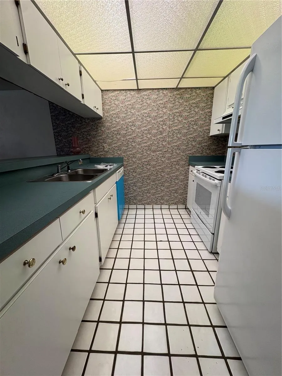 167 PALM VIEW COURT #3487 Haines City, FL 33844