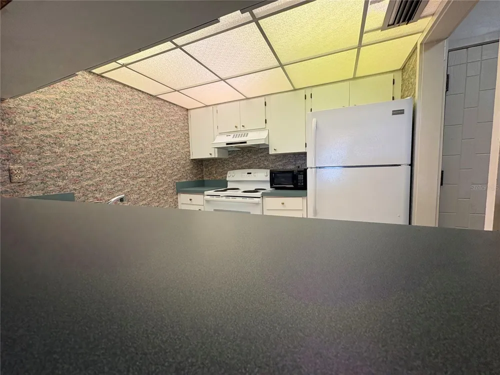 167 PALM VIEW COURT #3487 Haines City, FL 33844