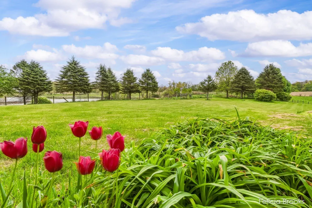 275 W Brogan Road Baltimore Township, MI 49058