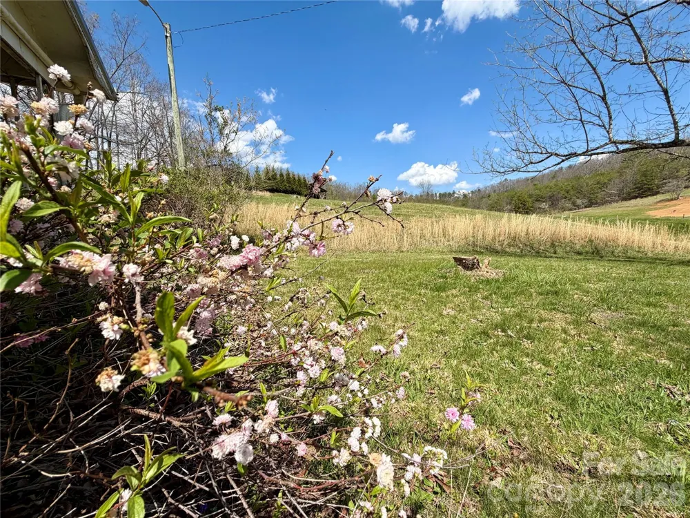 637 Fletcher Martin Road Alexander, NC 28701