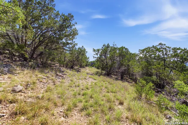 TBD Coombs Medina, TX 78055
