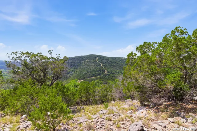 TBD Coombs Medina, TX 78055