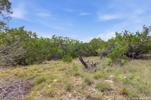 TBD Coombs Medina, TX 78055
