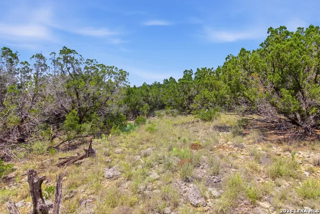 TBD Coombs Medina, TX 78055