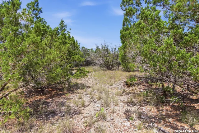 TBD Coombs Medina, TX 78055