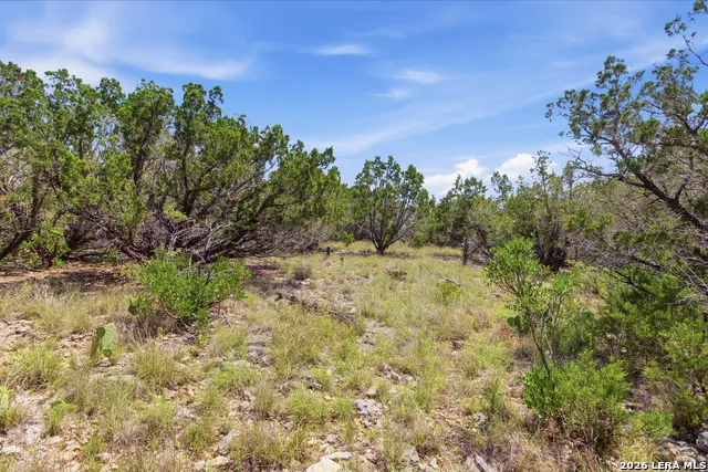 TBD Coombs Medina, TX 78055