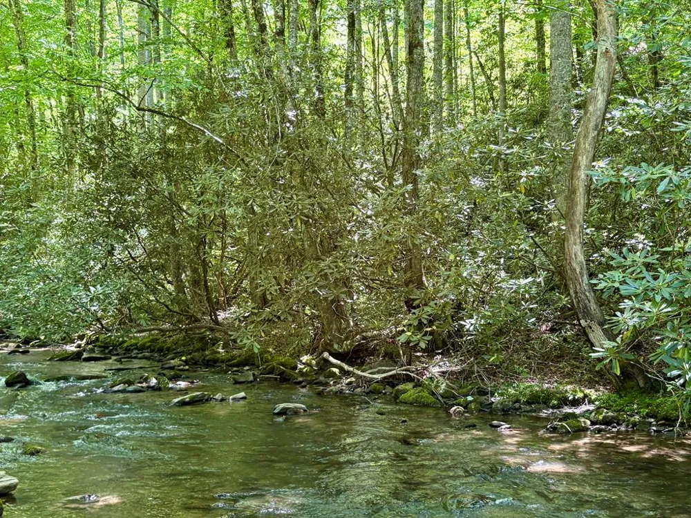 Timber Estates Bryson City, NC 28713
