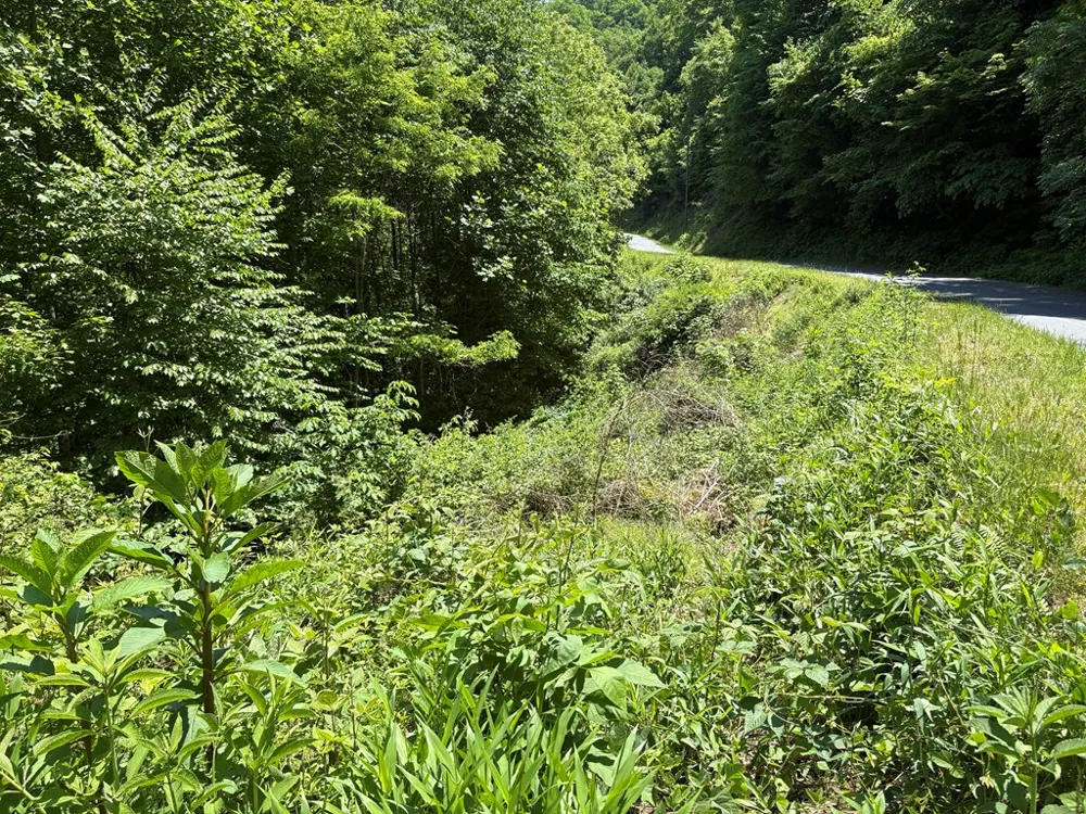 Timber Estates Bryson City, NC 28713