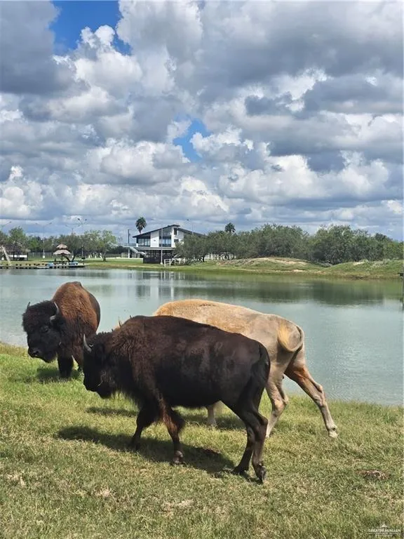 600 CR 305 ROAD Encino, TX 78353