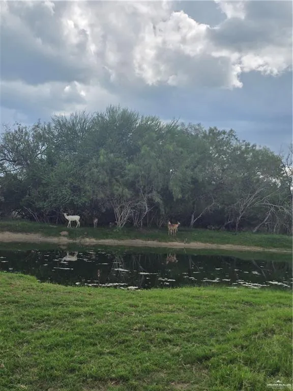 600 CR 305 ROAD Encino, TX 78353