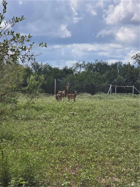 600 CR 305 ROAD Encino, TX 78353