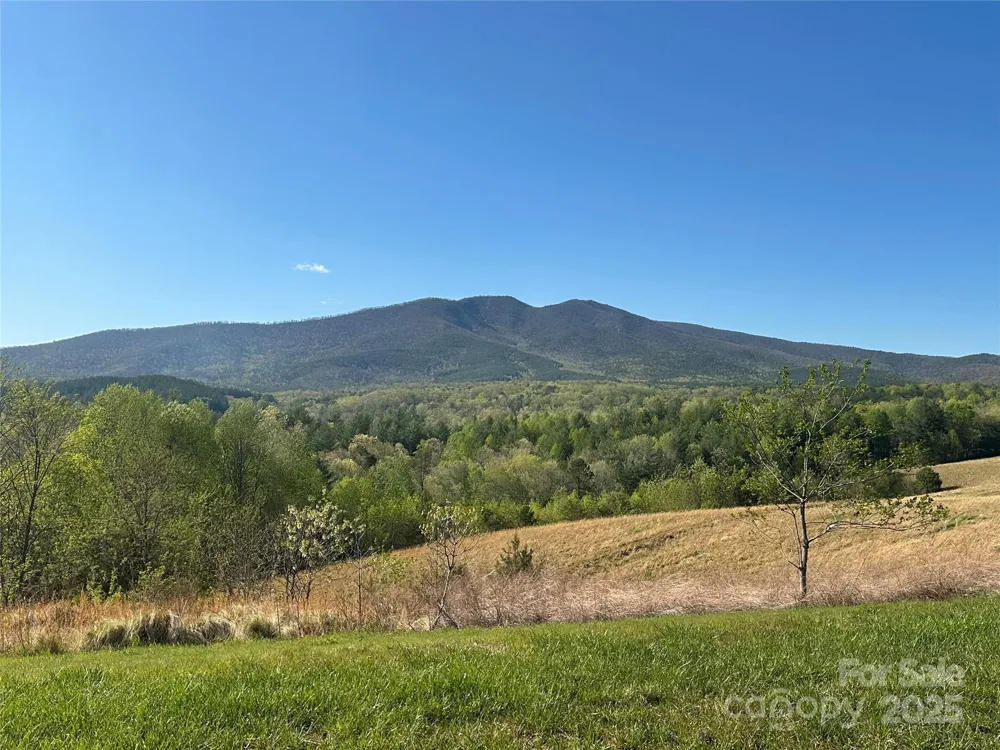 Vacant Lot 15 Lake Crest Drive #15 Nebo, NC 28761