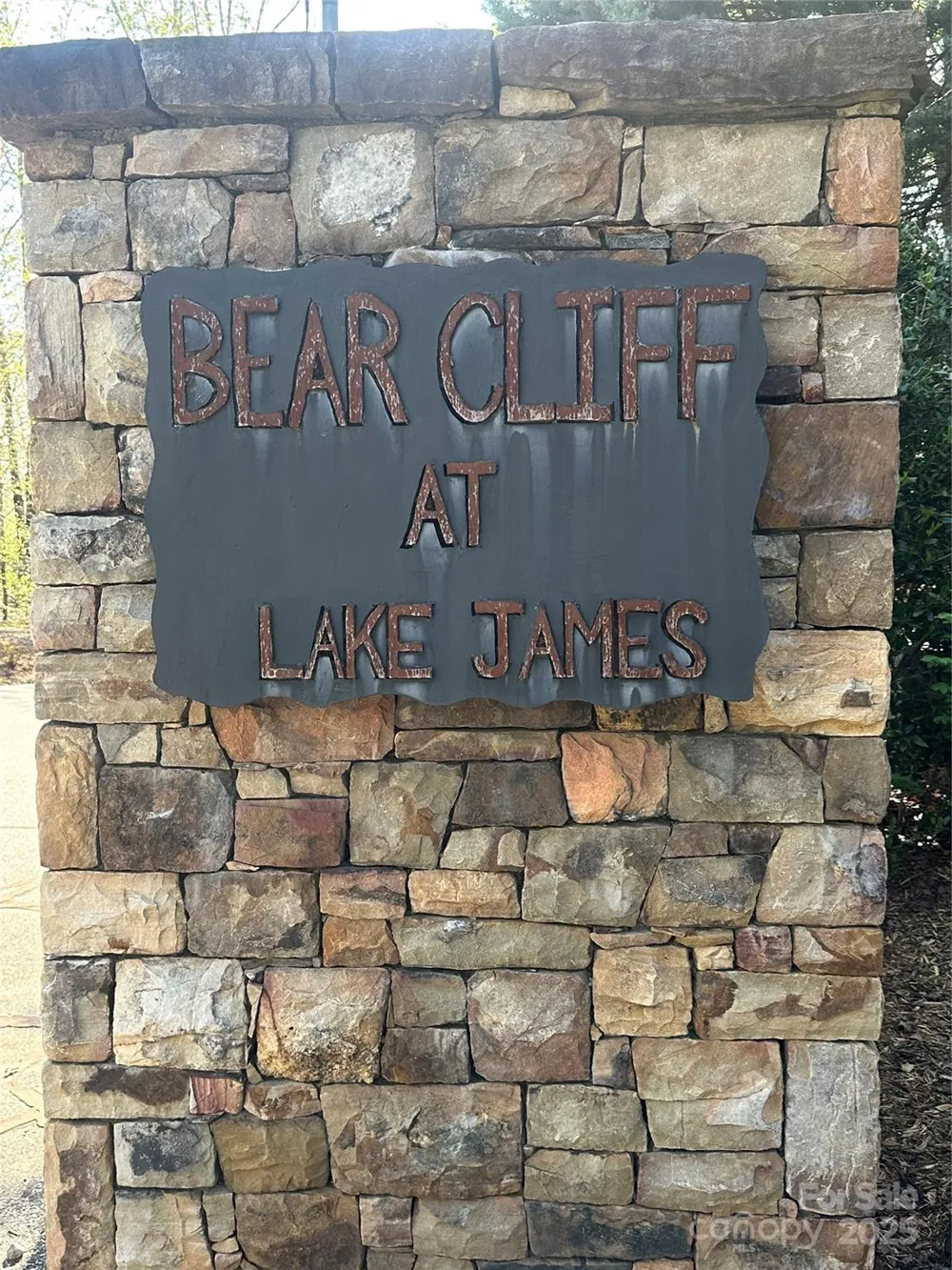 Vacant Lot 15 Lake Crest Drive #15 Nebo, NC 28761
