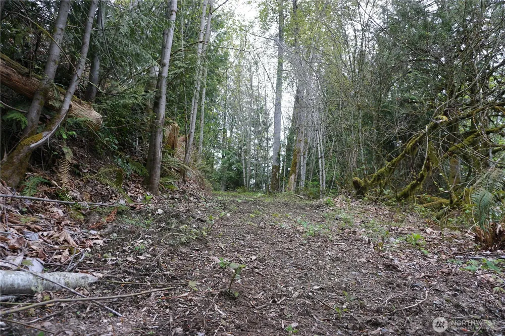 18107 213th Avenue Ct E Orting, WA 98360