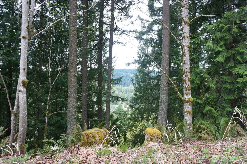 18107 213th Avenue Ct E Orting, WA 98360