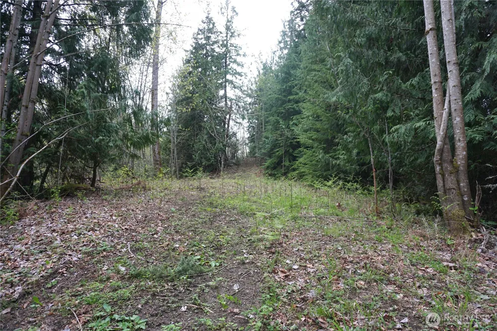 18107 213th Avenue Ct E Orting, WA 98360