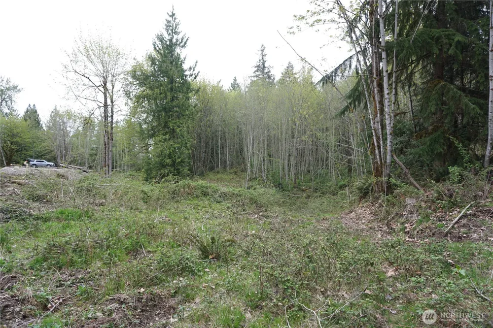 18107 213th Avenue Ct E Orting, WA 98360