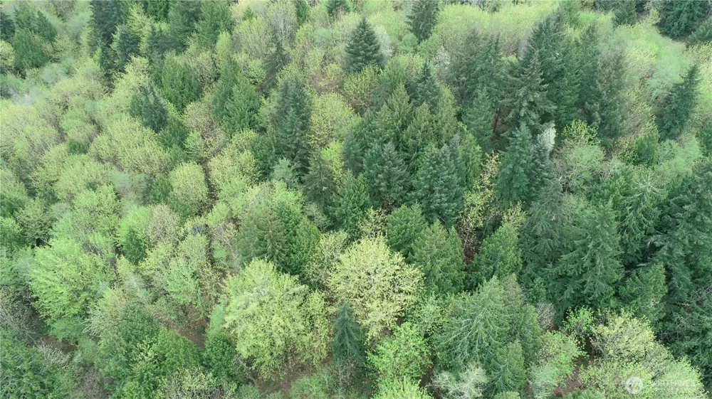 18107 213th Avenue Ct E Orting, WA 98360