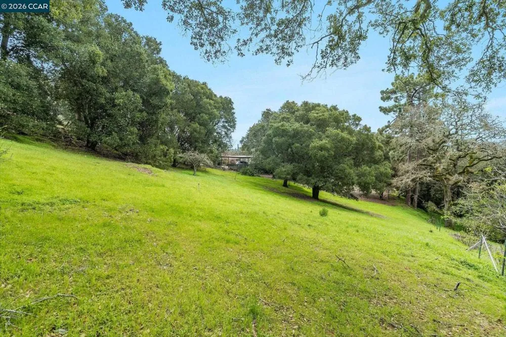 9 Charles Hill Rd Orinda, CA 94563