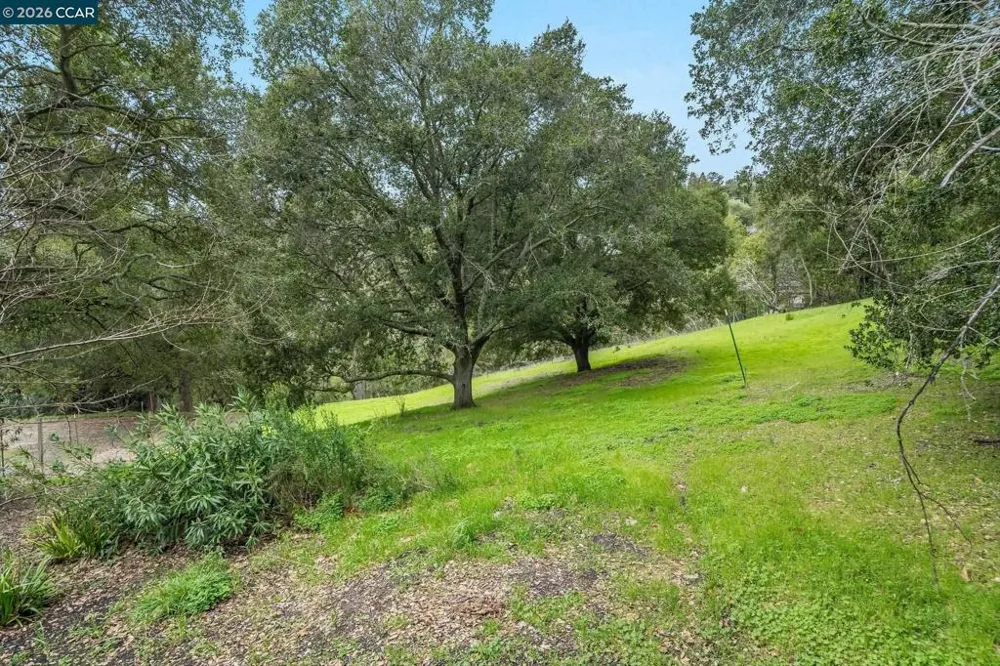 9 Charles Hill Rd Orinda, CA 94563