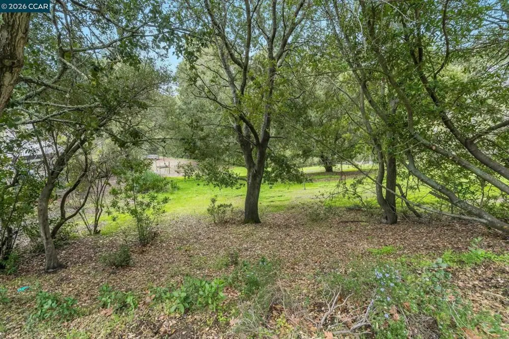 9 Charles Hill Rd Orinda, CA 94563