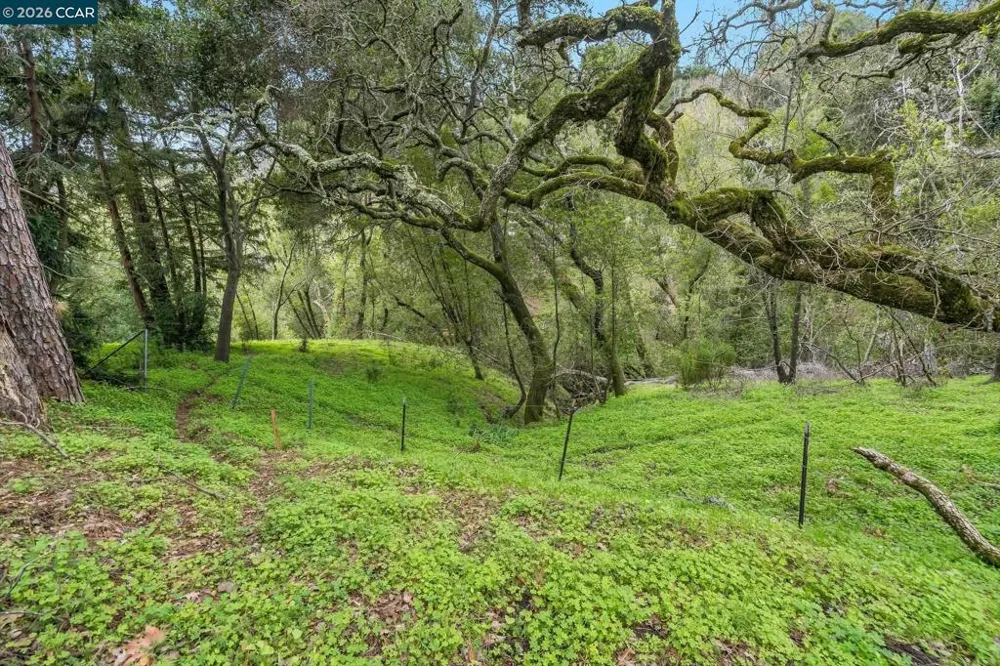 9 Charles Hill Rd Orinda, CA 94563