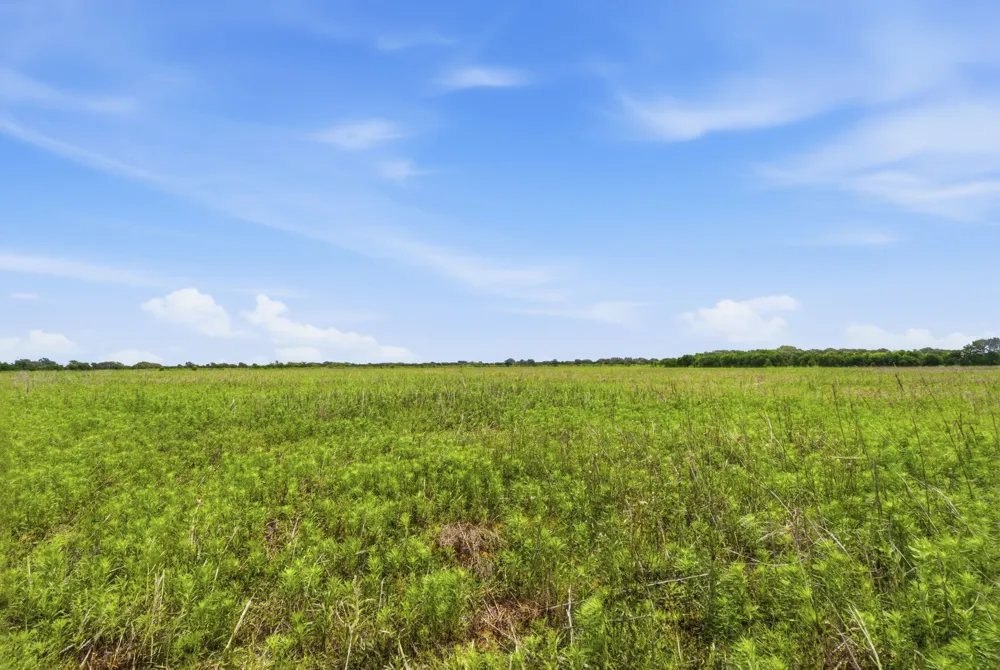 Cr 495 De Leon, TX 76444