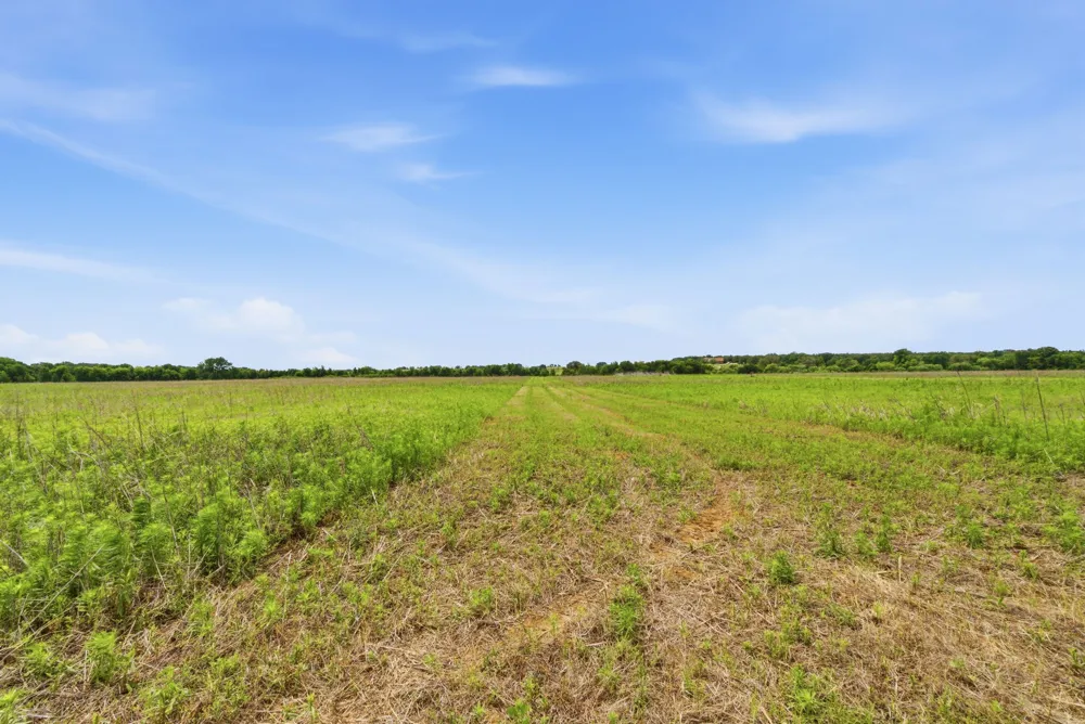 Cr 495 De Leon, TX 76444