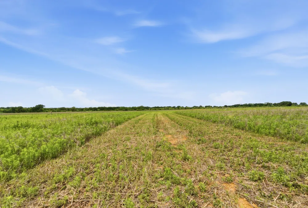 Cr 495 De Leon, TX 76444