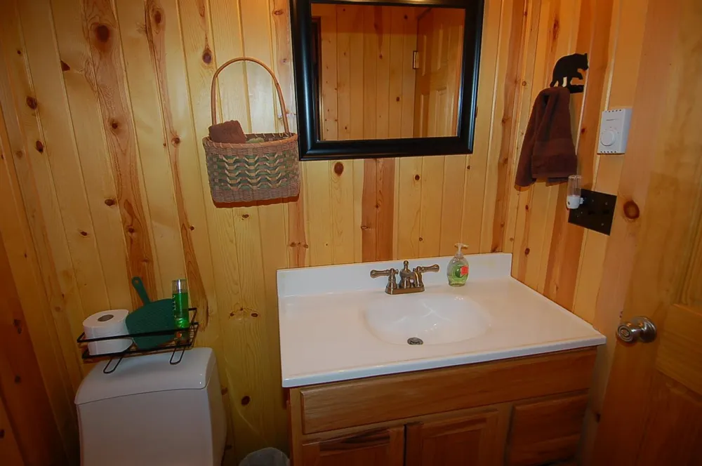 109 Brandy Drive Selma Township, MI 49601