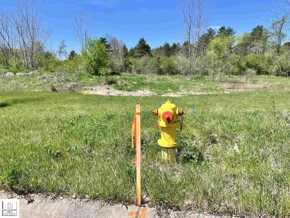 1450 Cal Drive Davison Township, MI 48423