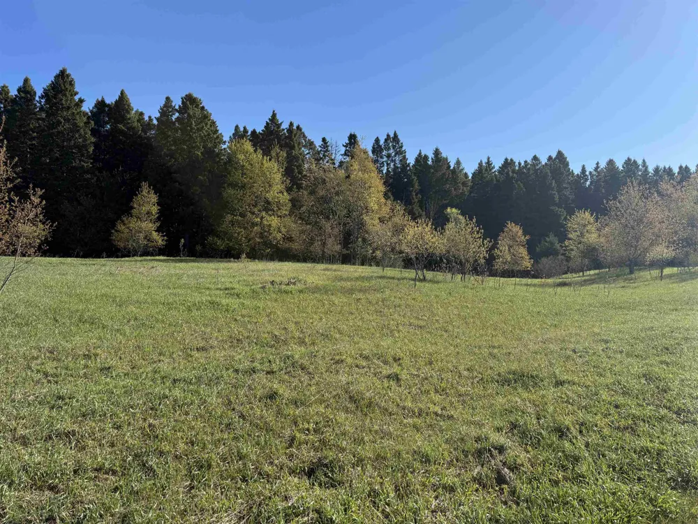 W Timber Lane Kasson Township, MI 49630