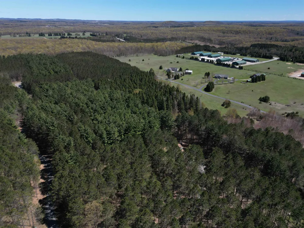 W Timber Lane Kasson Township, MI 49630